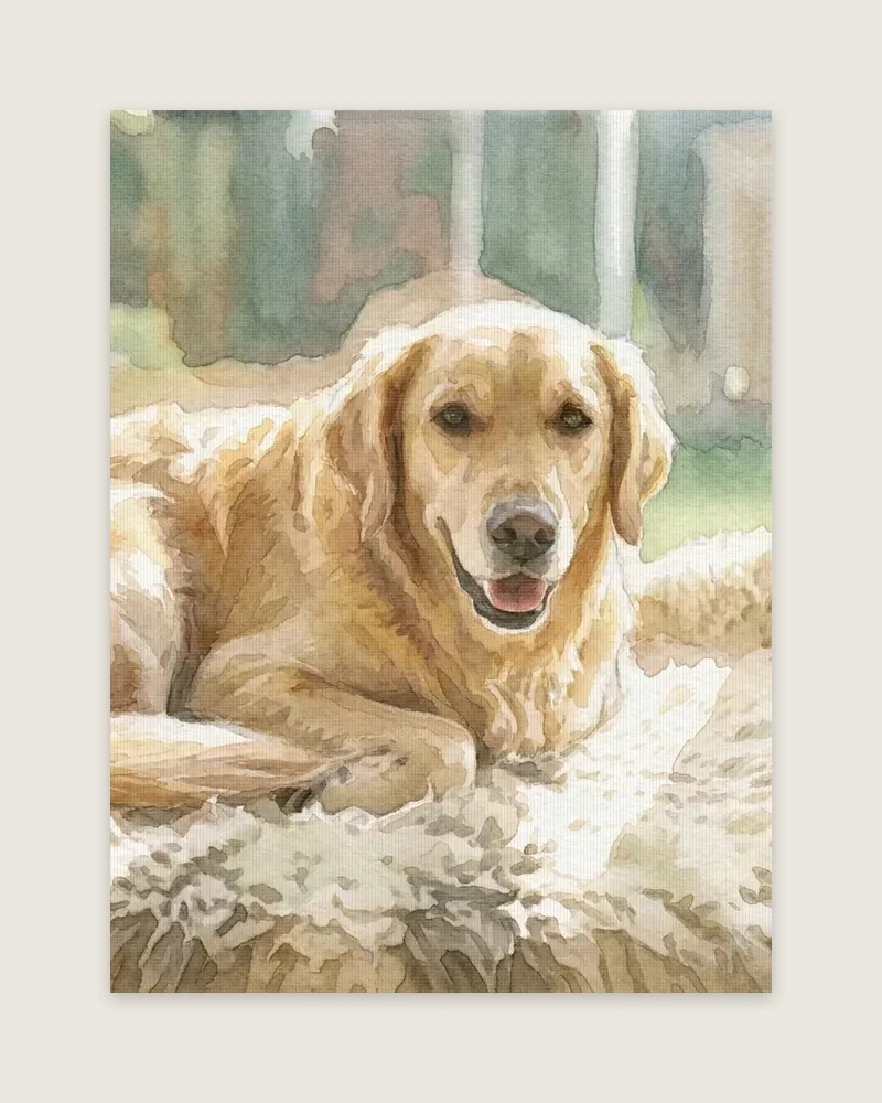 Example product render: our sample watercolour portrait of a golden-coated dog as a stretched canvas, seen face-on.